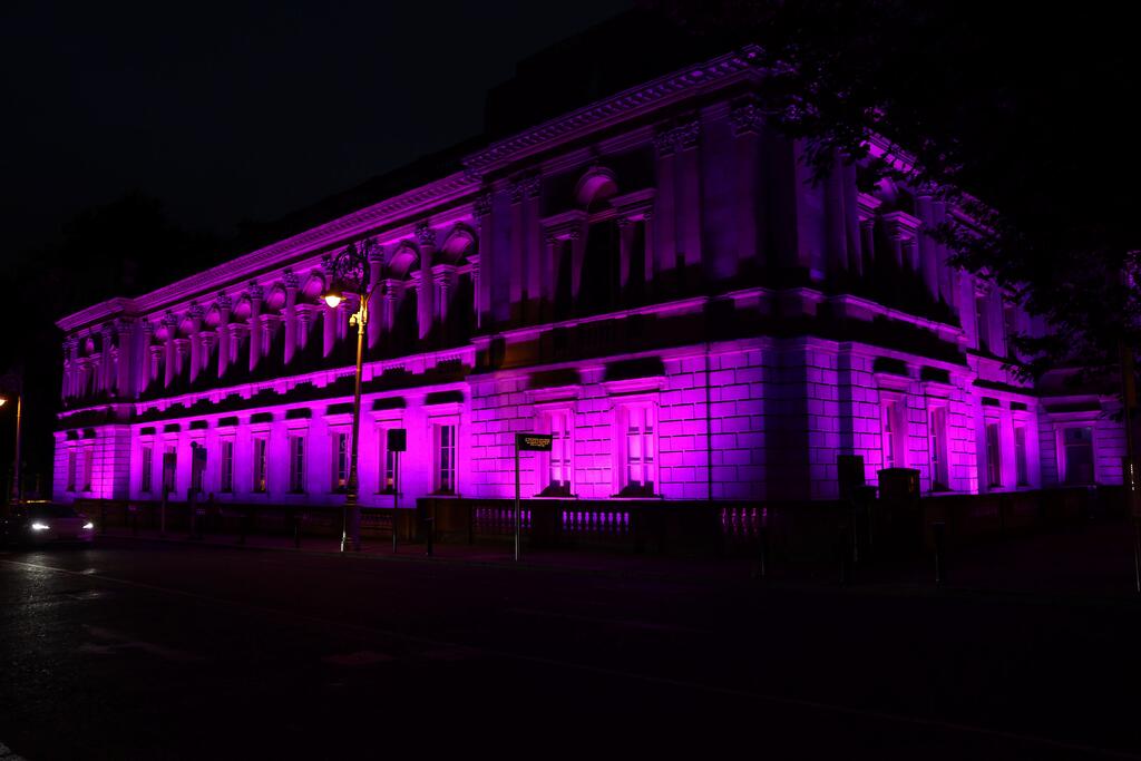 20261005 PURPLE LIGHTS-1.JPG